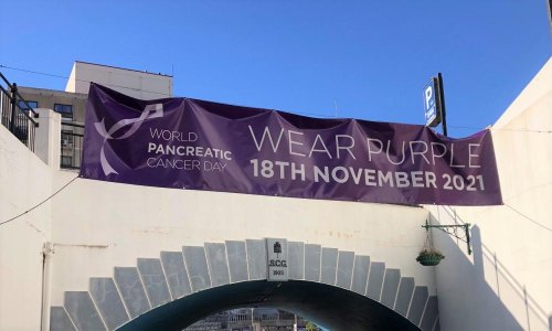 Wear purple for Pancreatic Cancer Day